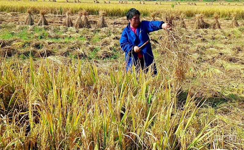 1694654319268563.png 图片4.png