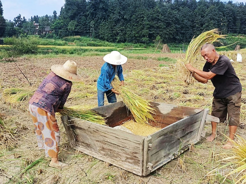 1694654336741470.png 图片5.png