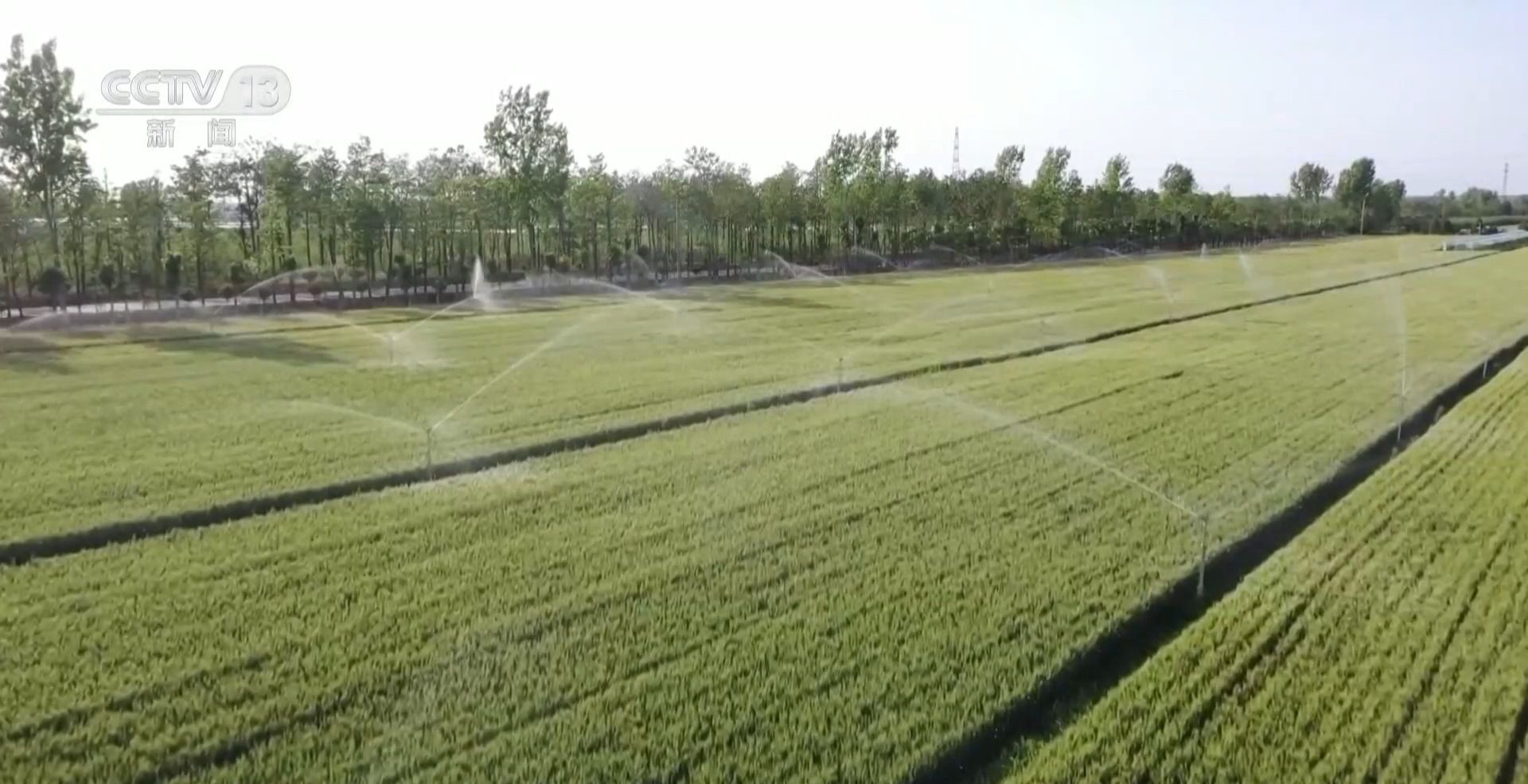 1748311732973338.png 图片2.png